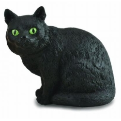 COLLECTA 88323 KOT BRYTYJSKI KRÓTKOWŁOSY SIEDZĄCY ROZ:S (004-88323) - 1