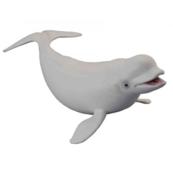 COLLECTA 88568 WAL BIAŁY, BIAŁUCHA rozmiar:L (004-88568)