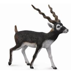 CollectA 88638 Antylopa blackbuck rozmiar:L (004-88638) - 1