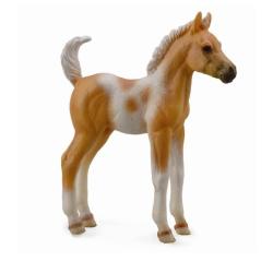 COLLECTA 88669 Źrebię Pinto Palomino stojące r:M 6,6x7,9 (004-88669) - 1