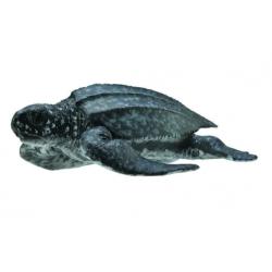 COLLECTA 88680 Żółw skórzasty rozm:M 8,5x3cm (004-88680) - 1