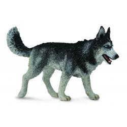 CollectaA 88707 Pies rasy Siberian Husky 10,5x6,2cm r:L (004-88707) - 1