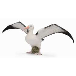 CollectA 88765 Albatros wędrowny, rozmiar: L (004-88765) - 2