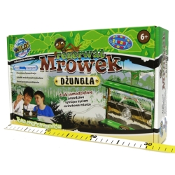 WILD SCIENCE 'REZERWAT MRÓWEK' DŻUNGLA -OBSERWUJ ŚWIAT (GXP-511765) - 4