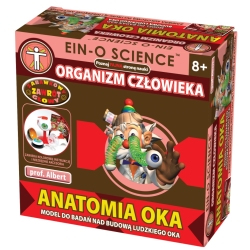 PROF.ALBERT -ANATOMIA OKA -ORGANIZM CZŁOWIEKA (00204) - 1