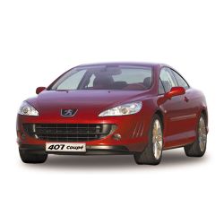 WELLY 1:18-PEUGEOT 407 COUPE - 1