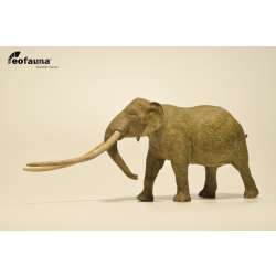 Eofauna 013 Anancus 22x8,5cm 1:35