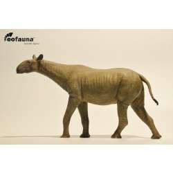 Eofauna 014 Paraceratherium 30x14cm 1:35