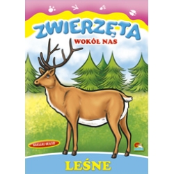 KOLOROWANKA 'ZWIERZĘTA WOKÓŁ NAS' LEŚNE A4 - 1