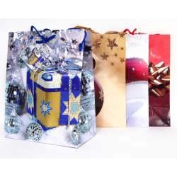 Torba papierowa 1 szt. wzory świąteczne lub całoroczne 22x17cm - 11