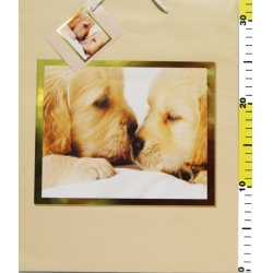 TORBA PAPIER.LAKIER.001 -1szt. - 5