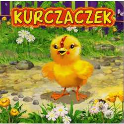 Książeczka Kurczaczek -sztywne kartki (JAFI000000043) - 1