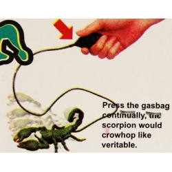 SKORPION SKACZĄCY NA POMPKĘ - 2