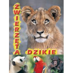 KSIĄŻKA-SZTYWNE KAR. ZWIERZĘTA DZIKIE - 1