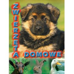 KSIĄŻKA-SZTYWNE KAR. ZWIERZĘTA DOMOWE - 1