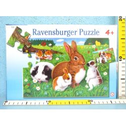 RAVENSBURGER 2x20 ZWIERZĘTA DOMOWE - 2