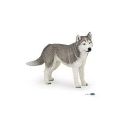 Papo 54035 Husky syberyjski 11x2x6cm (PAPO 54035) - 2