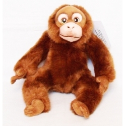 PLUSZ ORANGUTAN 25cm (179798) - 1