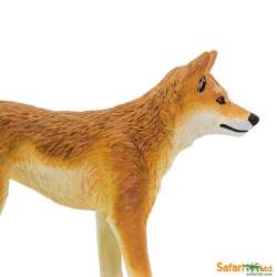 Safari Ltd 228229 Dingo 10x6,5cm - 3