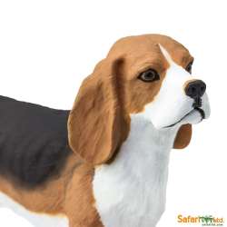 Safari Ltd 254929 Pies rasy Beagle 6,5x4,5cm - 4