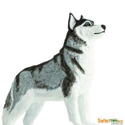 Safari Ltd 255229 Husky syberyjski 8,25x6,5cm - 4