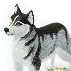 Safari Ltd 255229 Husky syberyjski 8,25x6,5cm - 5