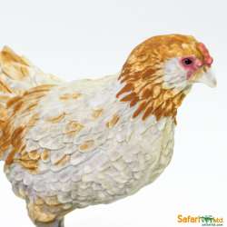 Safari Ltd 100090 Kura Ameraucana 6x2,5x4,5cm - 5