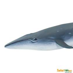 Safari Ltd 100098 Płetwal czerniakowy 19,5x7,5x3cm - 7
