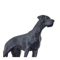 Safari Ltd 100204 Dog niemiecki 12x3,9x9,5cm - 3