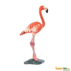 Safari Ltd 100262 Flaming 5,5x2,5x8,3cm - 4