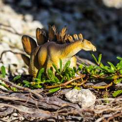 Safari Ltd 100299 Stegozaur 21,4x11,2cm - 4