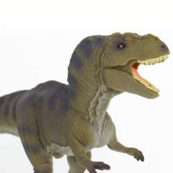 Safari Ltd 100423 Tyrannosaurus Rex 17x11cm - 3