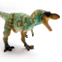 Safari Ltd 100740 Albertosaurus 25x7x8cm - 3