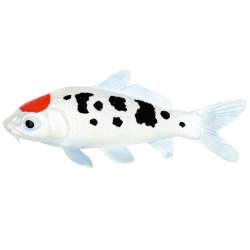 Safari Ltd 101025 Karp Koi Tancho 15x6,2cm - 2