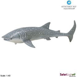 Safari Ltd 210602 Rekin wielorybi 1:40 24x8,5cm MONTEREY B - 1