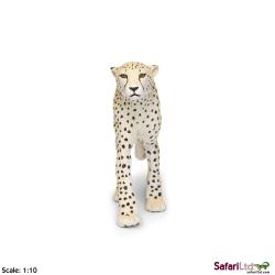 XL Safari Ltd 112889 Gepard 21x3x10 - 3