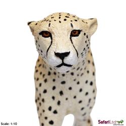 XL Safari Ltd 112889 Gepard 21x3x10 - 5