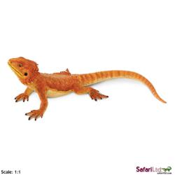 XL Safari Ltd 263129 Agama brodata -Jaszczurka 21,5x14,5x7,5cm - 2