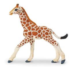 Safari Ltd 268529 Żyrafa siatkowana młoda 9,5 x9,5cm - 1