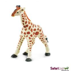 Safari Ltd 270729 Żyrafa młoda 7,5 x9cm - 2
