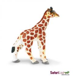 Safari Ltd 270729 Żyrafa młoda 7,5 x9cm - 1