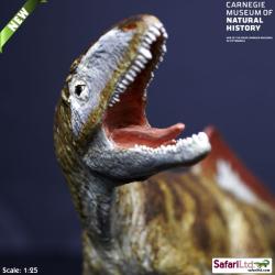 Safari Ltd 411201 Dinozaur Concavenator 1:25 17,5x9cm Carnegie - 3