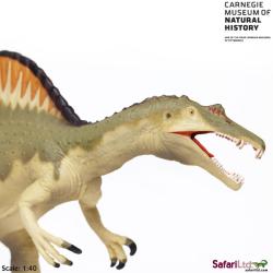 Safari Ltd 421601 Dinozaur spinozaur 1:40 Carnegie 32x15cm - 2