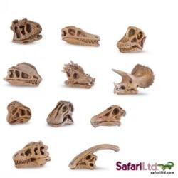 Safari Ltd 687404 czaszki dinozaurów w tubie - 2