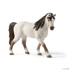 Schleich 72113 zestaw kolekcjonera -5 koni (SLH 72113) - 2