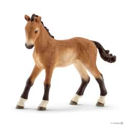 Schleich 72113 zestaw kolekcjonera -5 koni (SLH 72113) - 5