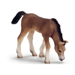 SCHLEICH ŹREBIĘ RASY ARABSKIEJ PASĄCE SIĘ (13652) - 1
