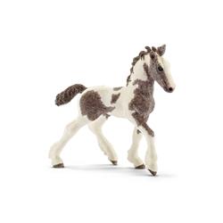 ! Schleich Źrebię rasy Tinker (13774) - 1