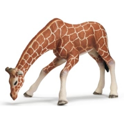 SCHLEICH ŻYRAFA - SAMICA U WODOPOJU (14390) - 1