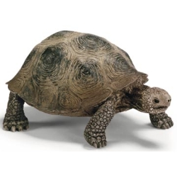 SCHLEICH ŻÓŁW OLBRZYM 14601 (SLH 14601) - 1